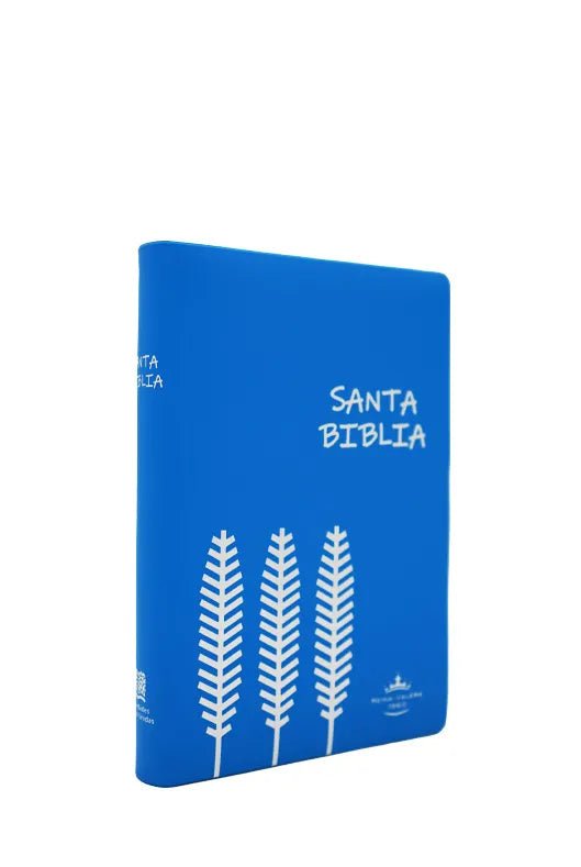BIBLIA RVR042e LETRA 12x16 TAPA PLASTICA JP AZUL