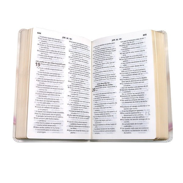 Biblia Reina Valera 1960 Letra Mediana 21x14 cm Tapa PU PE WR