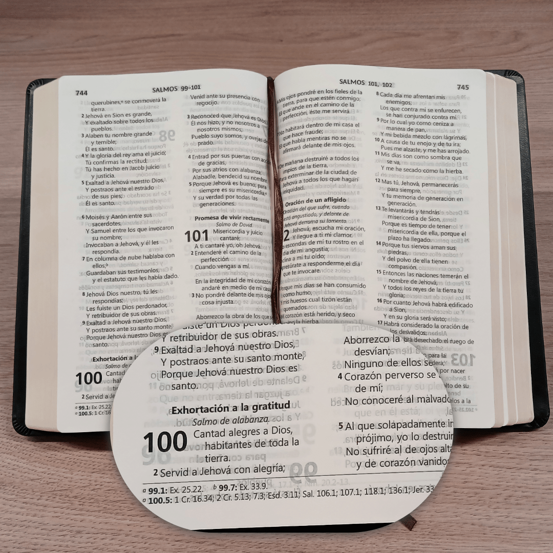 Biblia Reina Valera 1960 – Tapa Imitación Piel Negra, Letra 10 Puntos