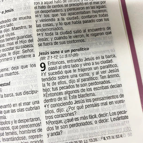 Biblia Reina Valera 1960 Letra Mediana 14x21cm Marrón