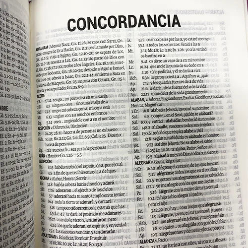 Biblia Reina Valera 1960 Letra Mediana 14x21cm Marrón