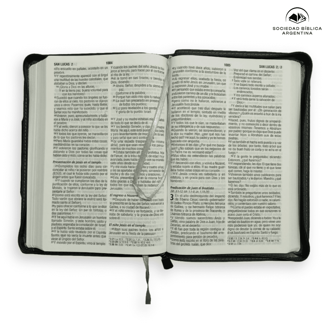 Biblia Reina Valera 1960 Letra Estándar Con Concordancia Con Cierre Tapa PU Gris 14 x 21 cm