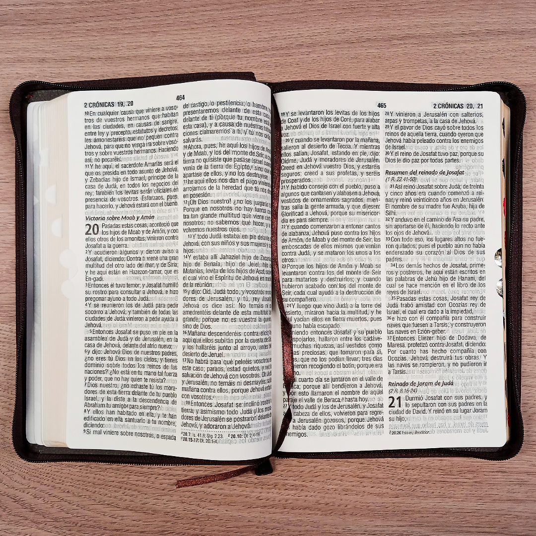 Biblia Reina Valera 1960 – Tapa Imitación Piel Marrón, con Cierre, Concordancia, con Índice, Letra 11 Puntos