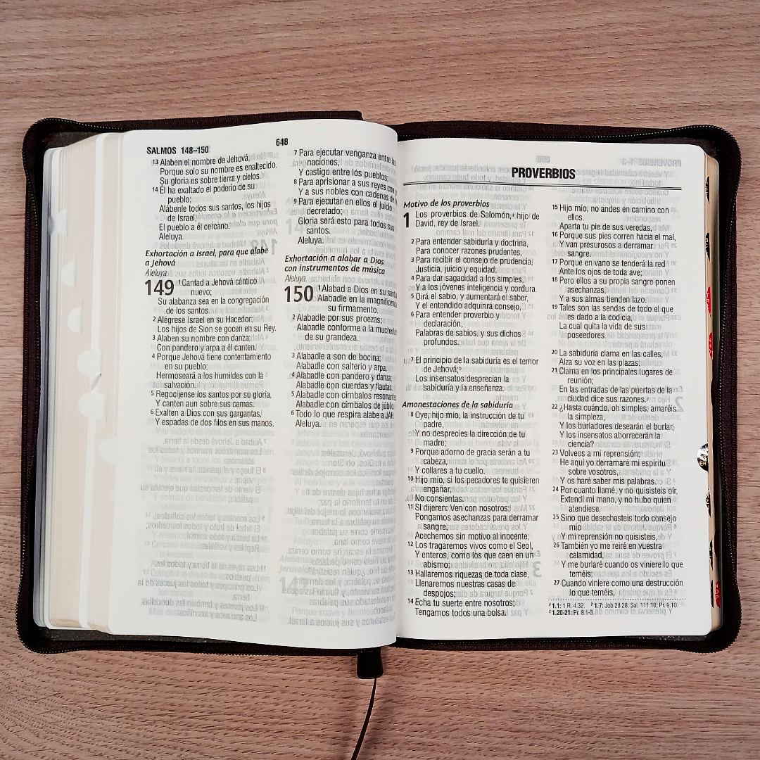 Biblia Reina Valera 1960 – Tapa Imitación Piel Marrón, con Cierre, Concordancia, con Índice, Letra 11 Puntos