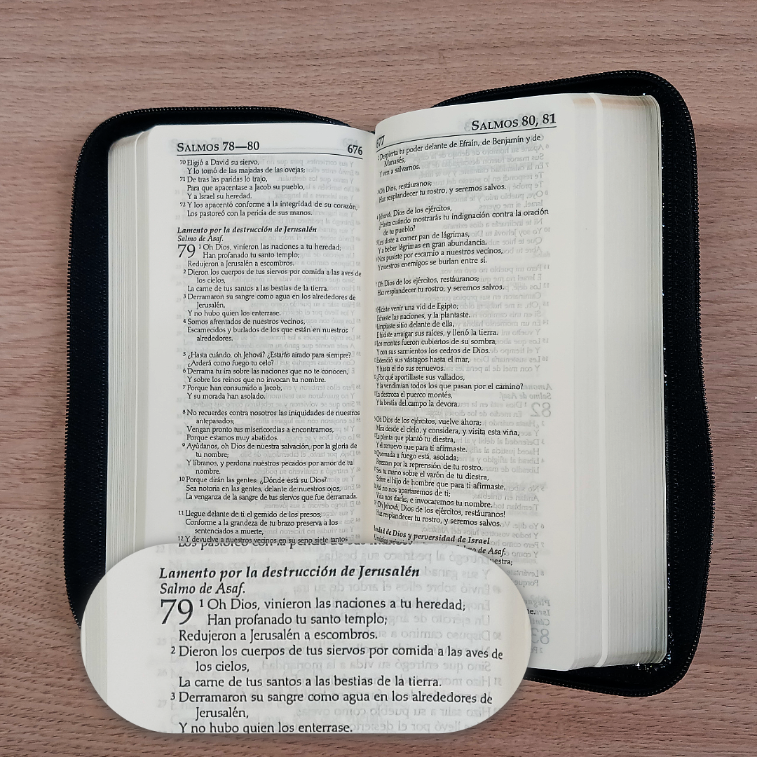 Biblia Reina Valera 1960 – Tapa Imitación Piel Gris, con Cierre, Letra 7 Puntos