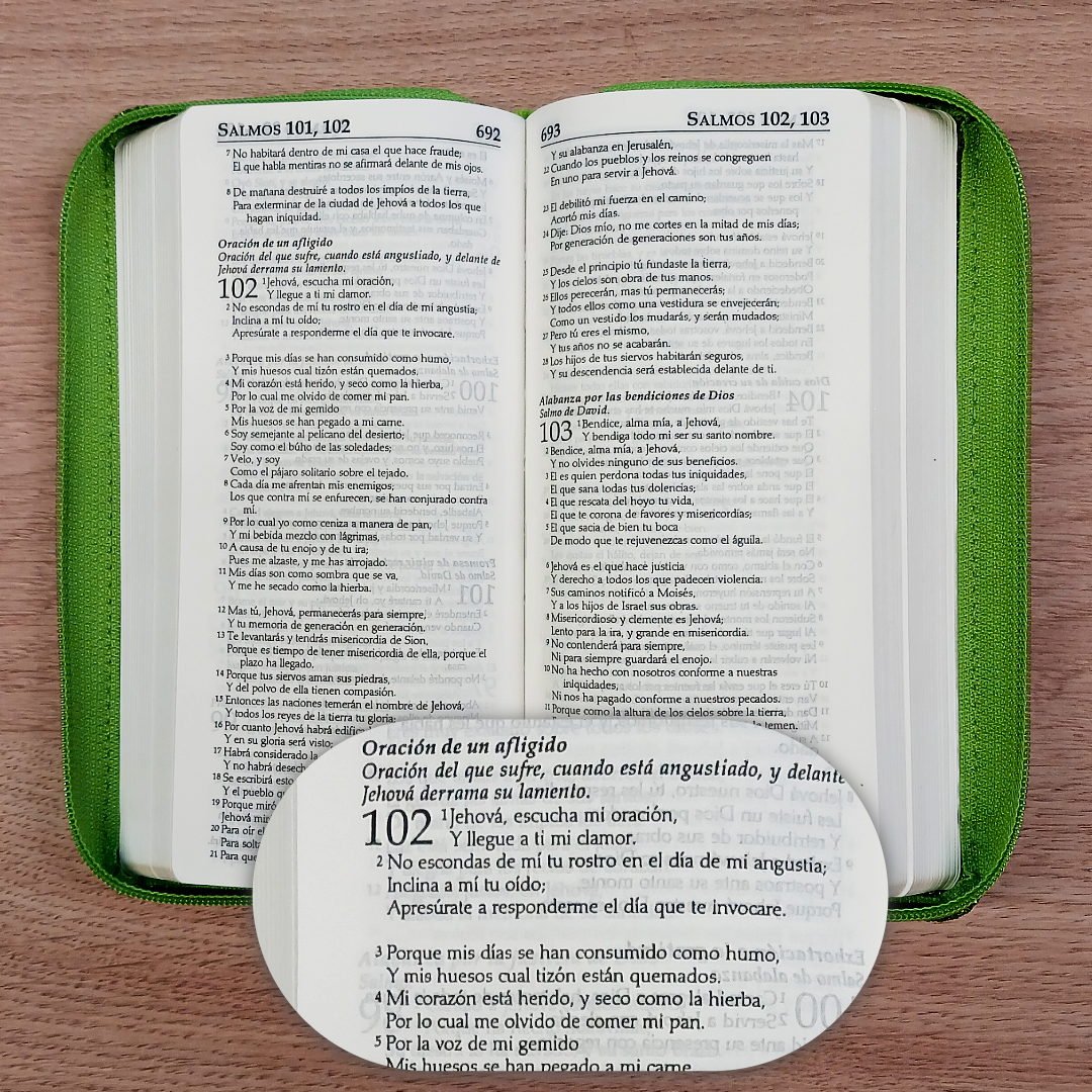 Biblia Reina Valera 1960 – Tapa Imitación Piel Verde, con Cierre, Letra 7 Puntos