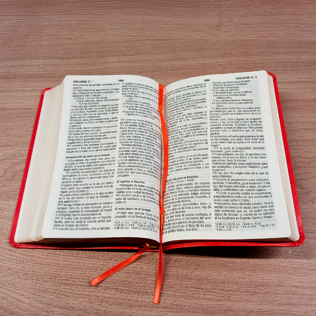 Biblia Reina Valera 1960 – Tapa Imitación Piel Anaranjado, Concordancia, Letra 11 Puntos