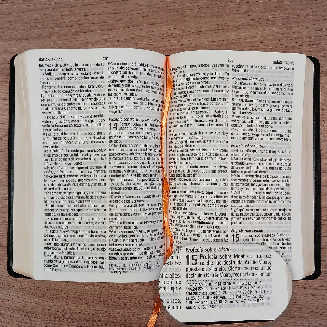 Biblia Reina Valera 1960 – Tapa Imitación Piel Gris, Concordancia, Letra 12 Puntos
