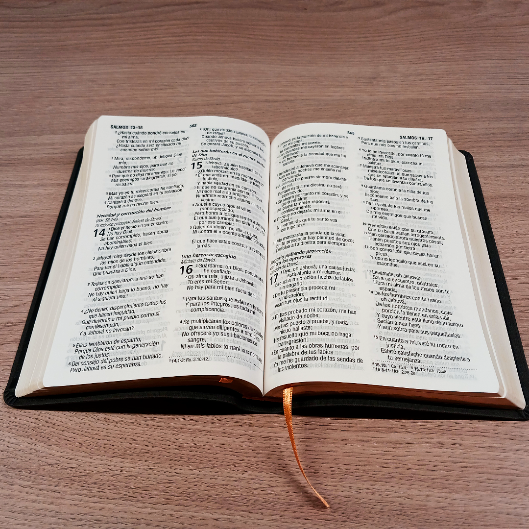 Biblia Reina Valera 1960 – Tapa Imitación Piel Gris, Concordancia, Letra 12 Puntos
