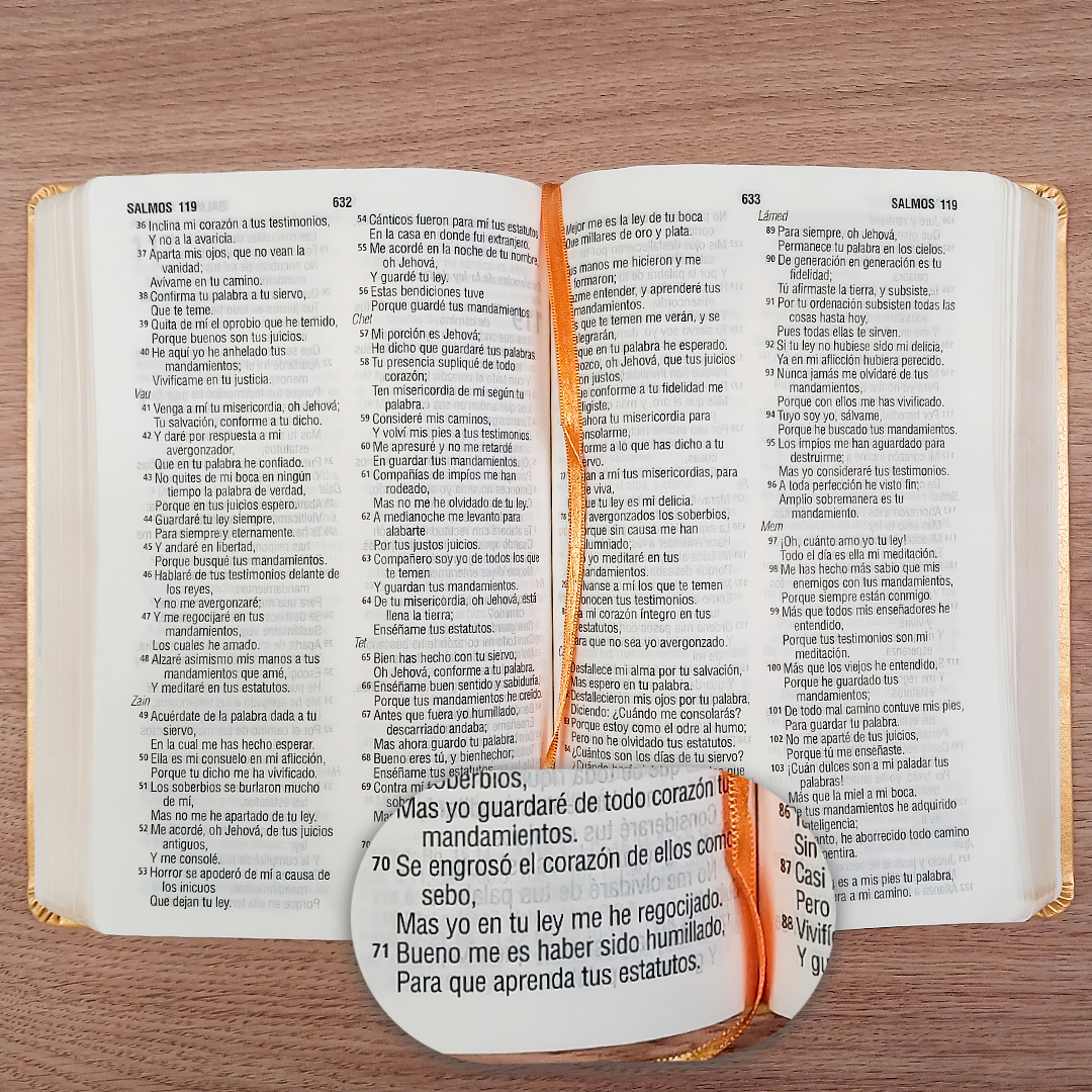 Biblia Reina Valera 1960 – Tapa Imitación Piel Amarillo, Concordancia, Palabras de Jesús en Rojo, Letra 11 Puntos