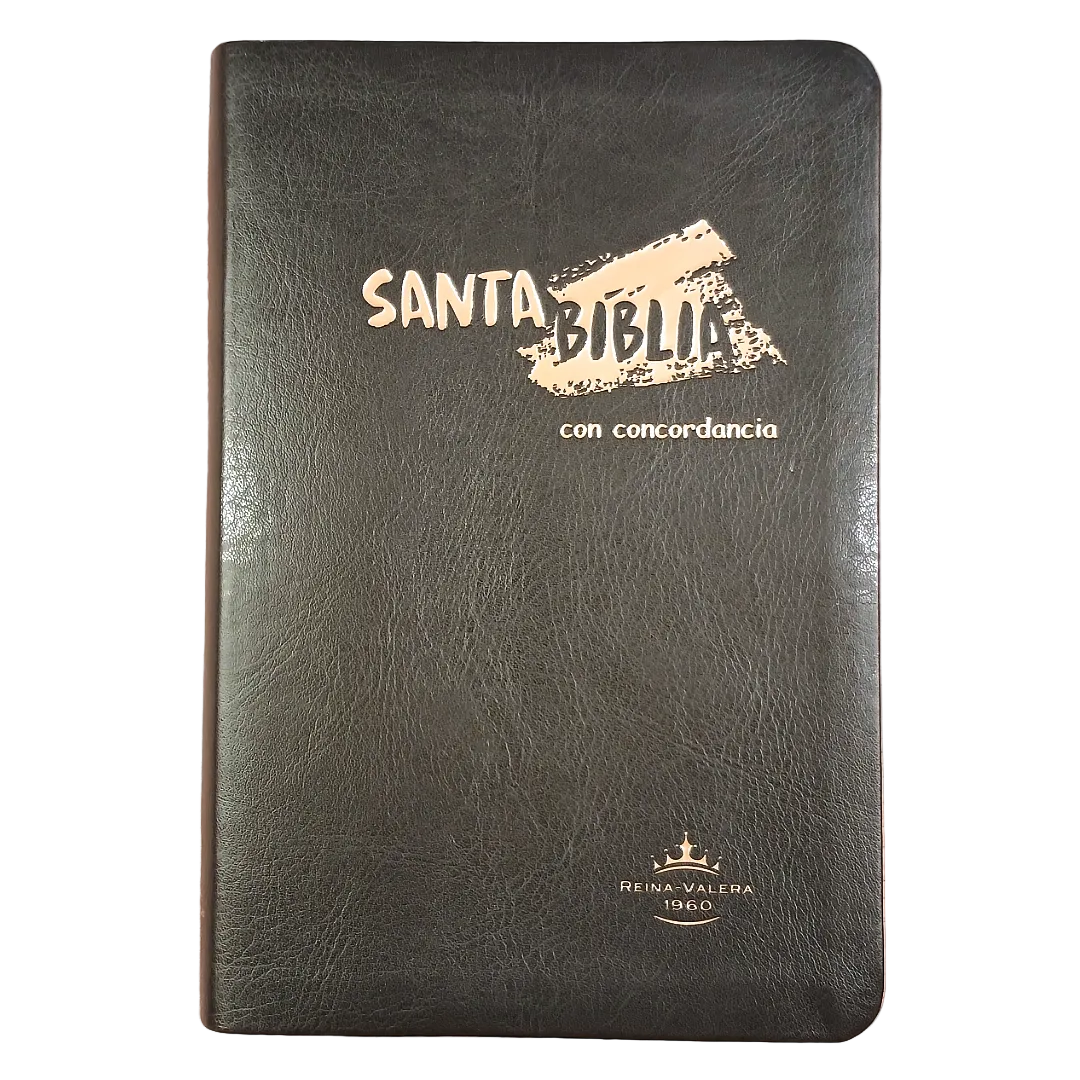 Biblia Reina Valera 1960 – Tapa Imitación Piel Gris Oscuro, Concordancia, Letra 11 Puntos