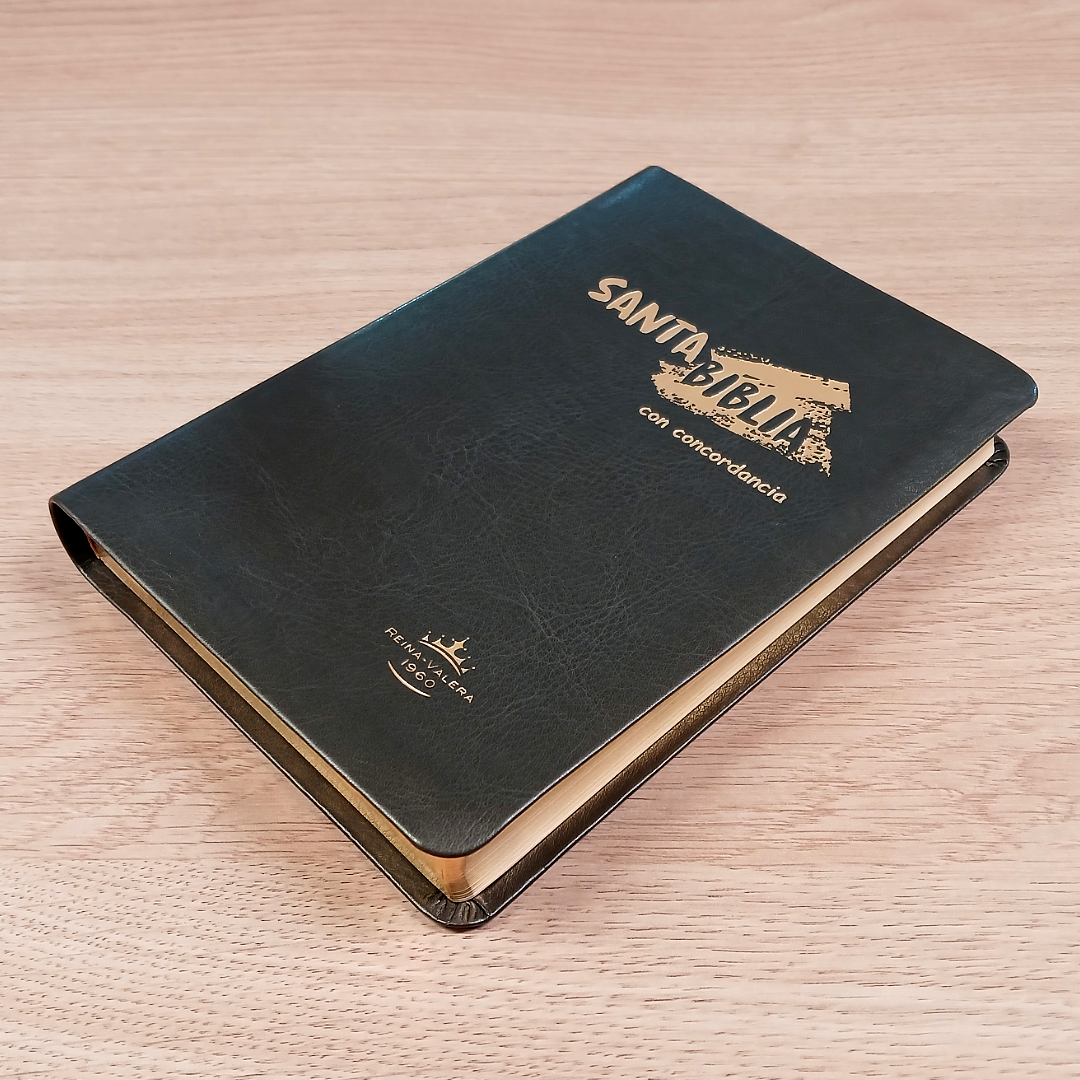 Biblia Reina Valera 1960 – Tapa Imitación Piel Gris Oscuro, Concordancia, Letra 11 Puntos
