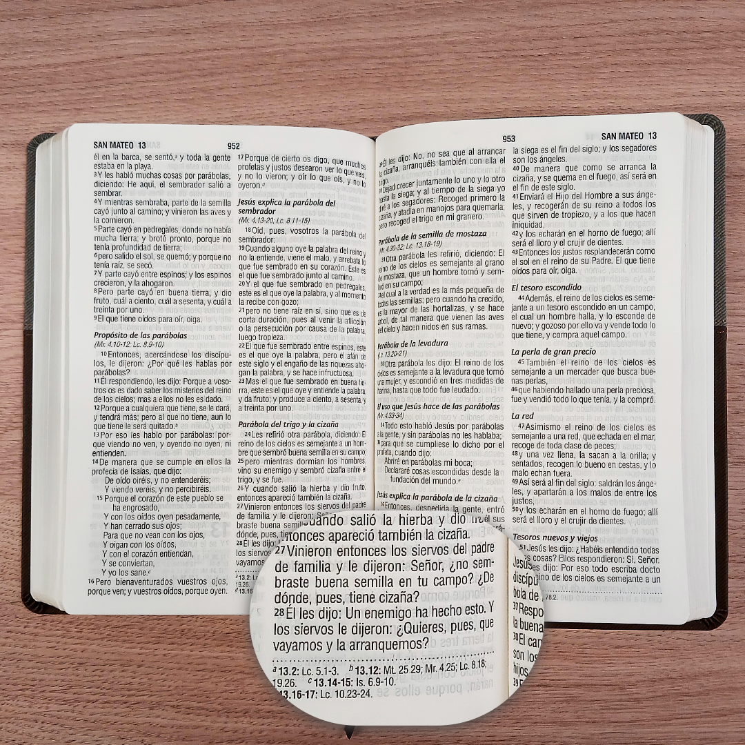 Biblia Reina Valera 1960 – Tapa Imitación Piel Gris y Café Oscuro, Concordancia, Palabras de Jesús en Rojo, Letra 12 Puntos