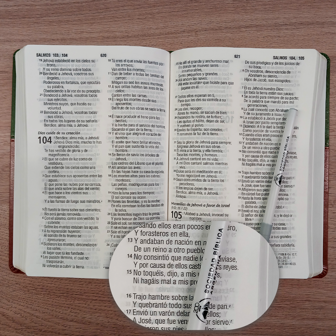 Biblia Reina Valera 1960 – Tapa Imitación Piel Verde y Café, Concordancia, Palabras de Jesús en Rojo, Letra 12 Puntos