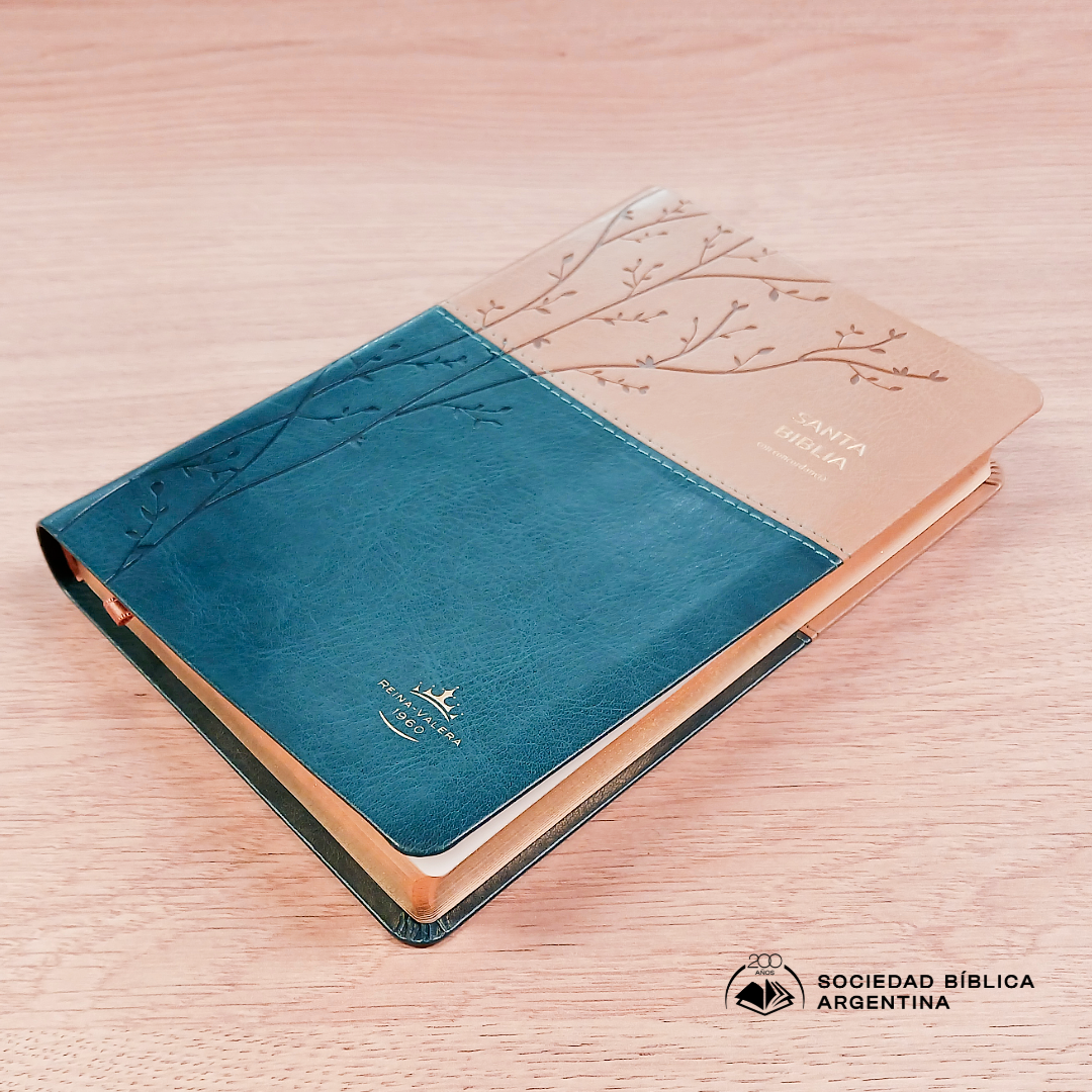 Biblia Reina Valera 1960 – Tapa Imitación Piel Beige y Turquesa, Concordancia, Palabras de Jesús en Rojo, Letra 12 Puntos