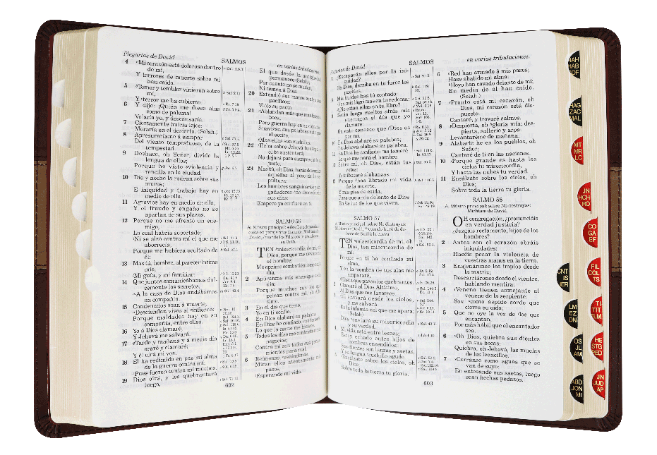 Biblia Reina Valera 1909 Imitación Cuero indice Cafe