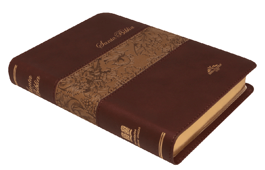 Biblia Reina Valera 1909 Imitación Cuero indice Cafe