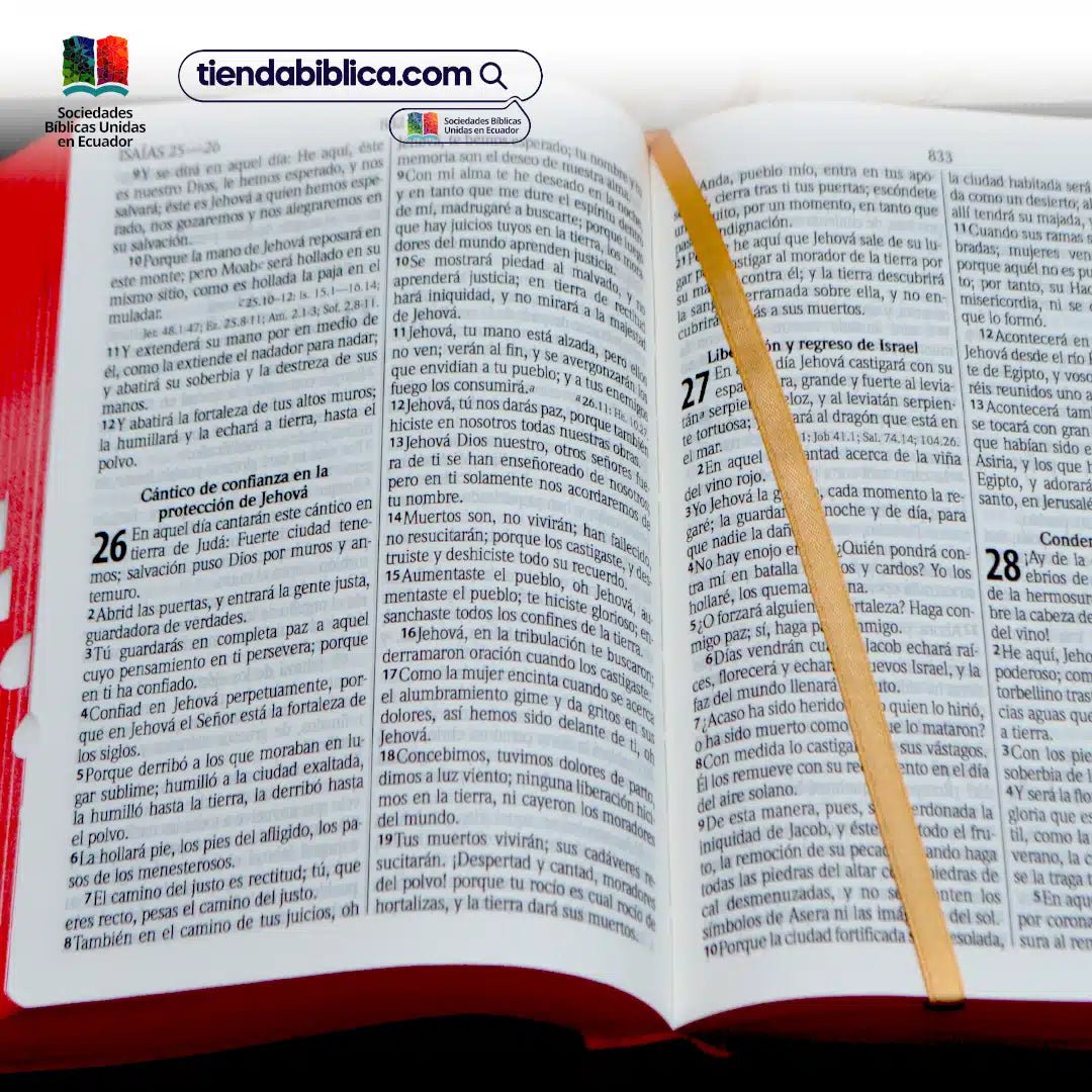 Biblia Reina Valera 1960 Letra Grande PJR Concordancia Cierre Tapa Plastico Negro