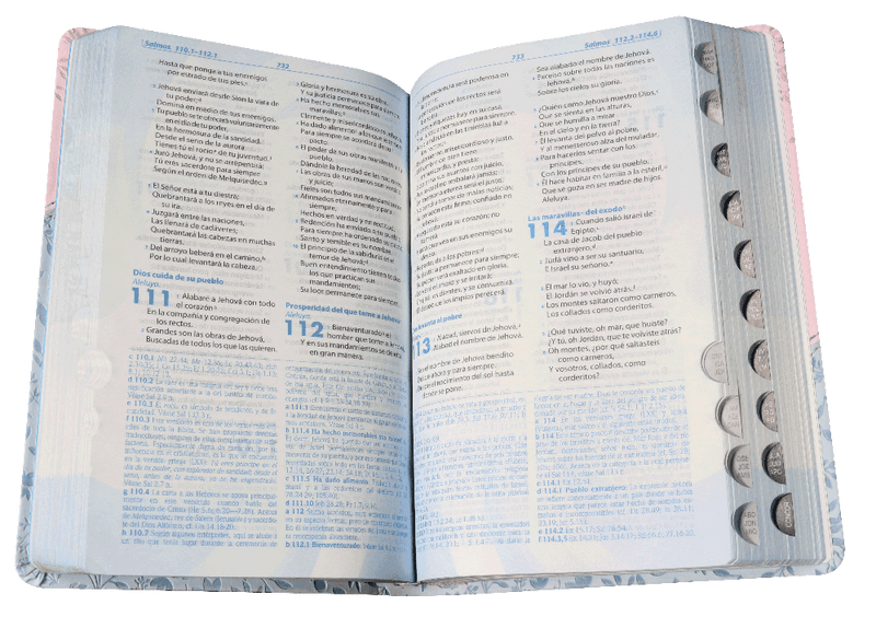 Biblia Estudio Llamados A La Reconciliación Piel Rosa 1960