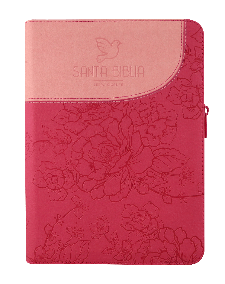 Biblia Reina Valera 1960 Letra Gigante Cierre Índice Rosa Qr