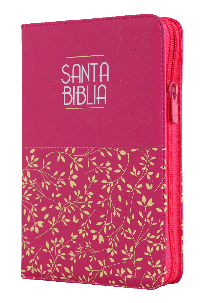 Biblia Reina Valera 1960 Letra Grande Cierre Rosa Ayudas Qr Letra 11 Puntos