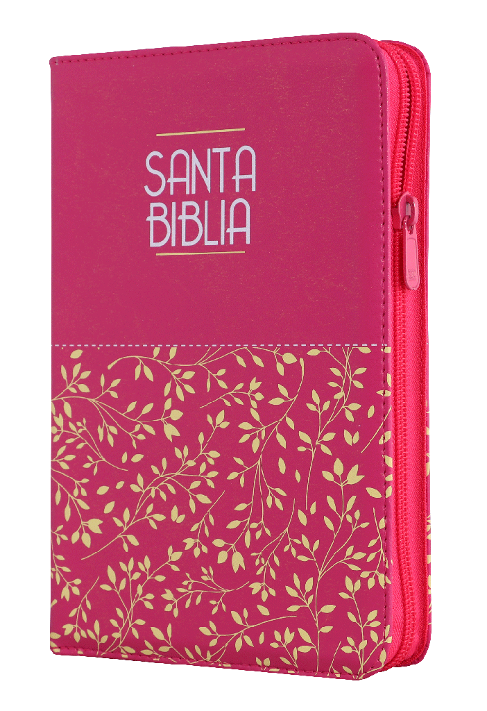 Biblia Reina Valera 1960 Letra Grande Cierre Rosa Ayudas Qr Letra 11 Puntos