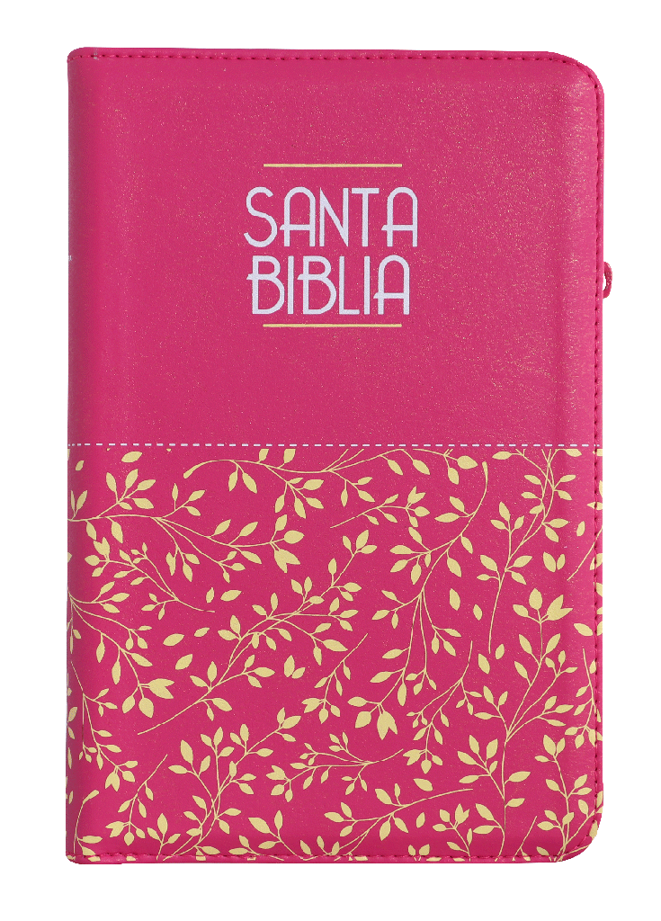 Biblia Reina Valera 1960 Letra Grande Cierre Rosa Ayudas Qr Letra 11 Puntos