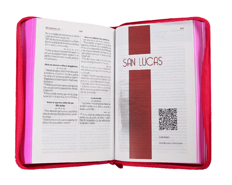 Biblia Reina Valera 1960 Letra Grande Cierre Rosa Ayudas Qr Letra 11 Puntos