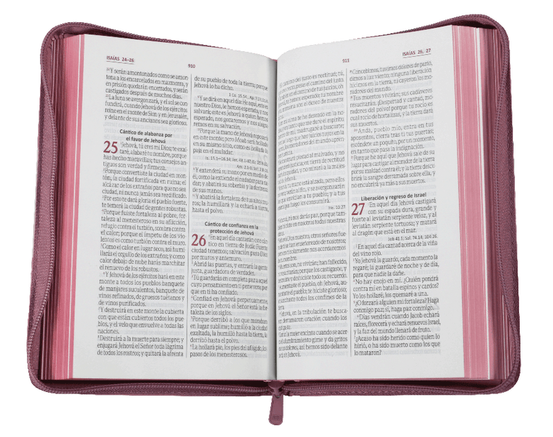Biblia Reina Valera 1960 Letra Grande Cierre Rosa Flores Qr