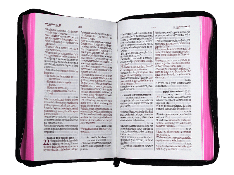 Biblia Reina Valera 1960 Letra Grande Cierre Negro Rosa Qr