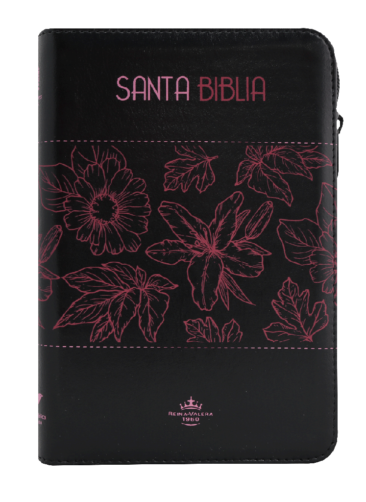 Biblia Reina Valera 1960 Letra Grande Cierre Negro Rosa Qr