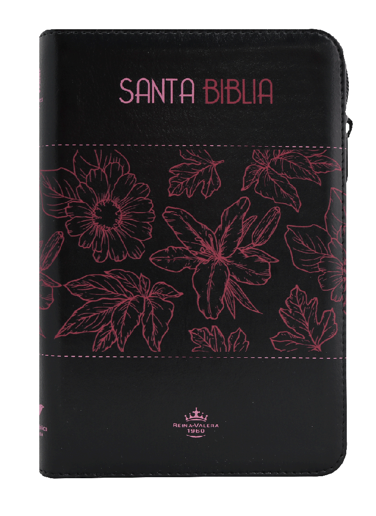 Biblia Reina Valera 1960 Letra Grande Cierre Negro Rosa Qr