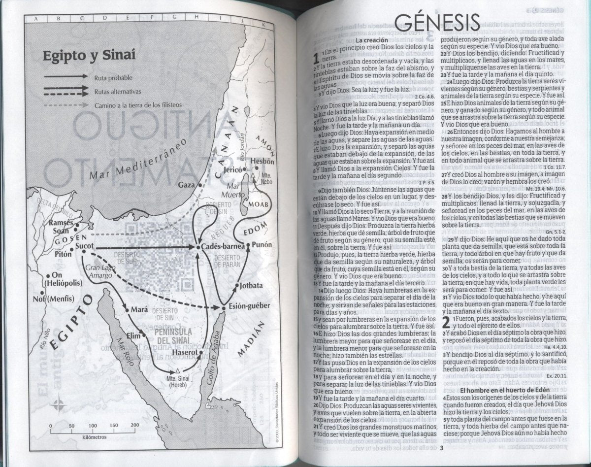 Biblia Reina Valera 1960 letra mediana verde menta canto pintado