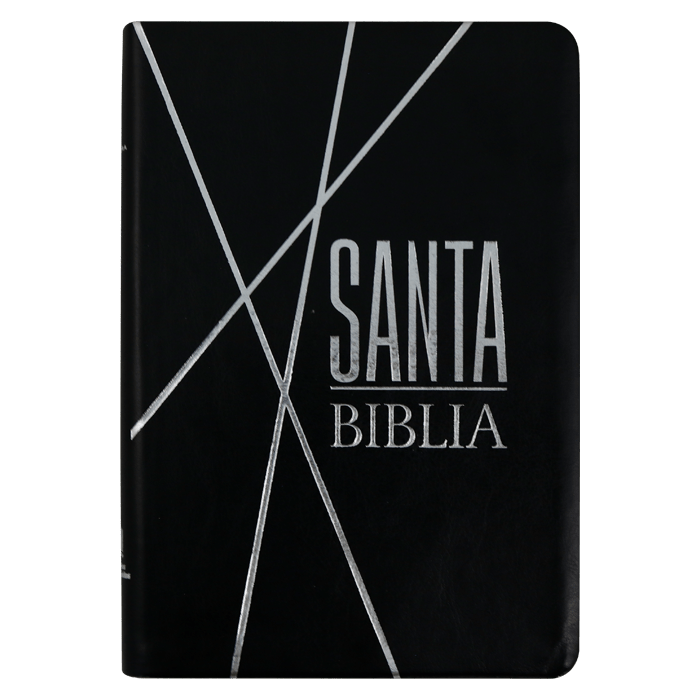 Biblia Reina Valera 1960 letra mediana negra canto gris pintado