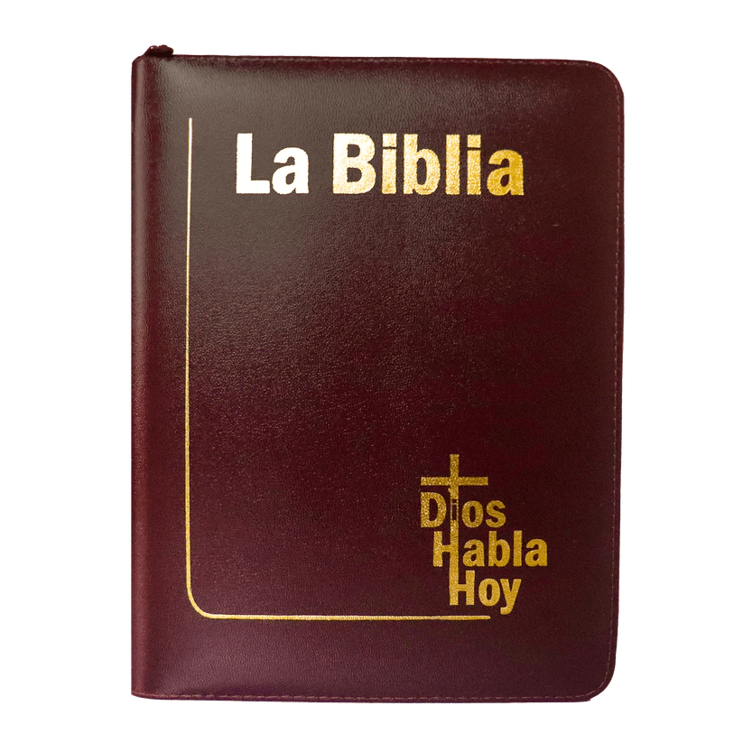 Biblia Dios Habla Hoy letra gigante imitación piel vino tinto canto pintado con deuterocanónicos