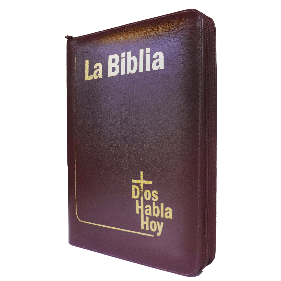 Biblia Dios Habla Hoy letra gigante imitación piel vino tinto canto pintado con deuterocanónicos