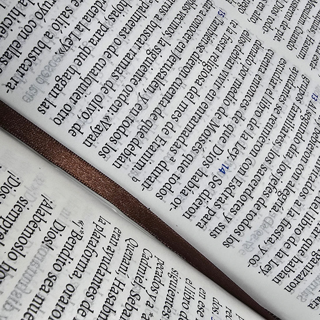 Biblia Traducción al Lenguaje Actual letra grande azul oscuro/café canto dorado