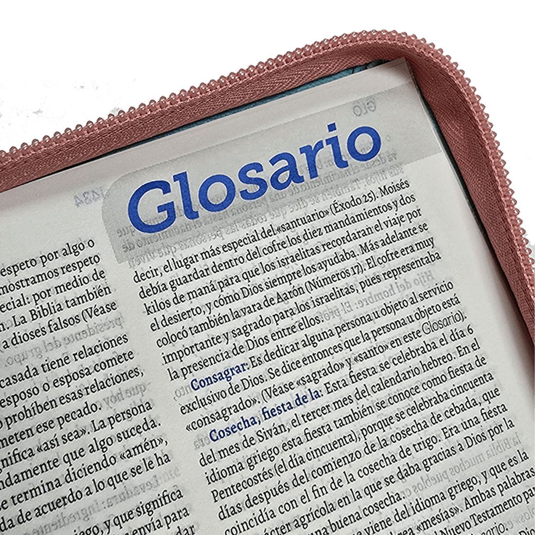 Biblia Traducción al Lenguaje Actual letra grande con cierre azul claro/morado canto plateado