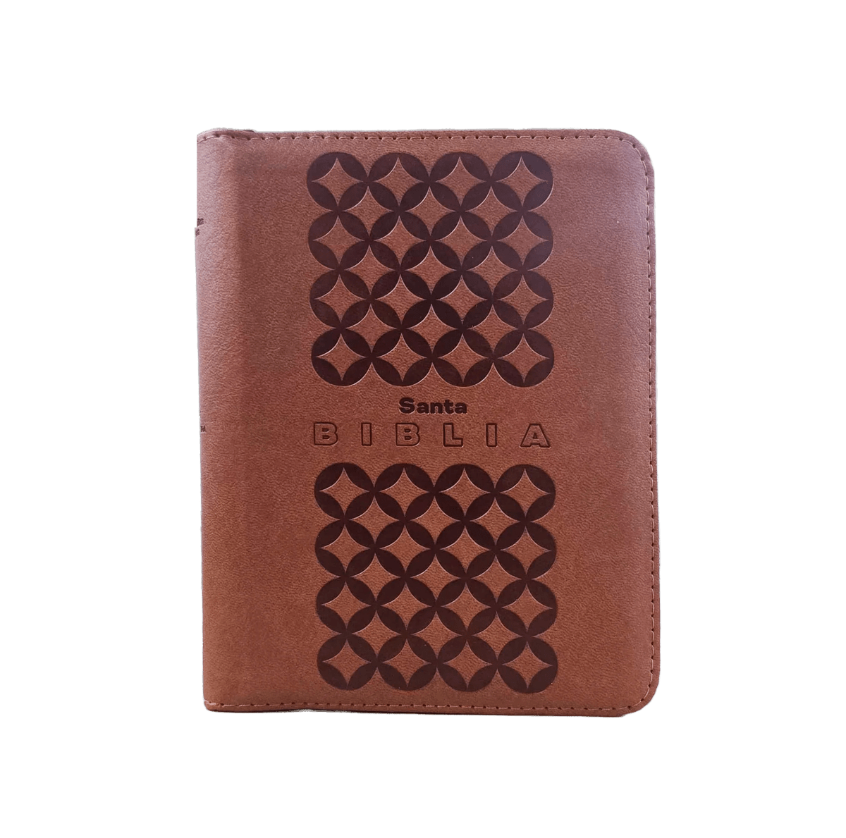 Biblia Reina Valera 1960 letra grande con cierre color café canto pintado