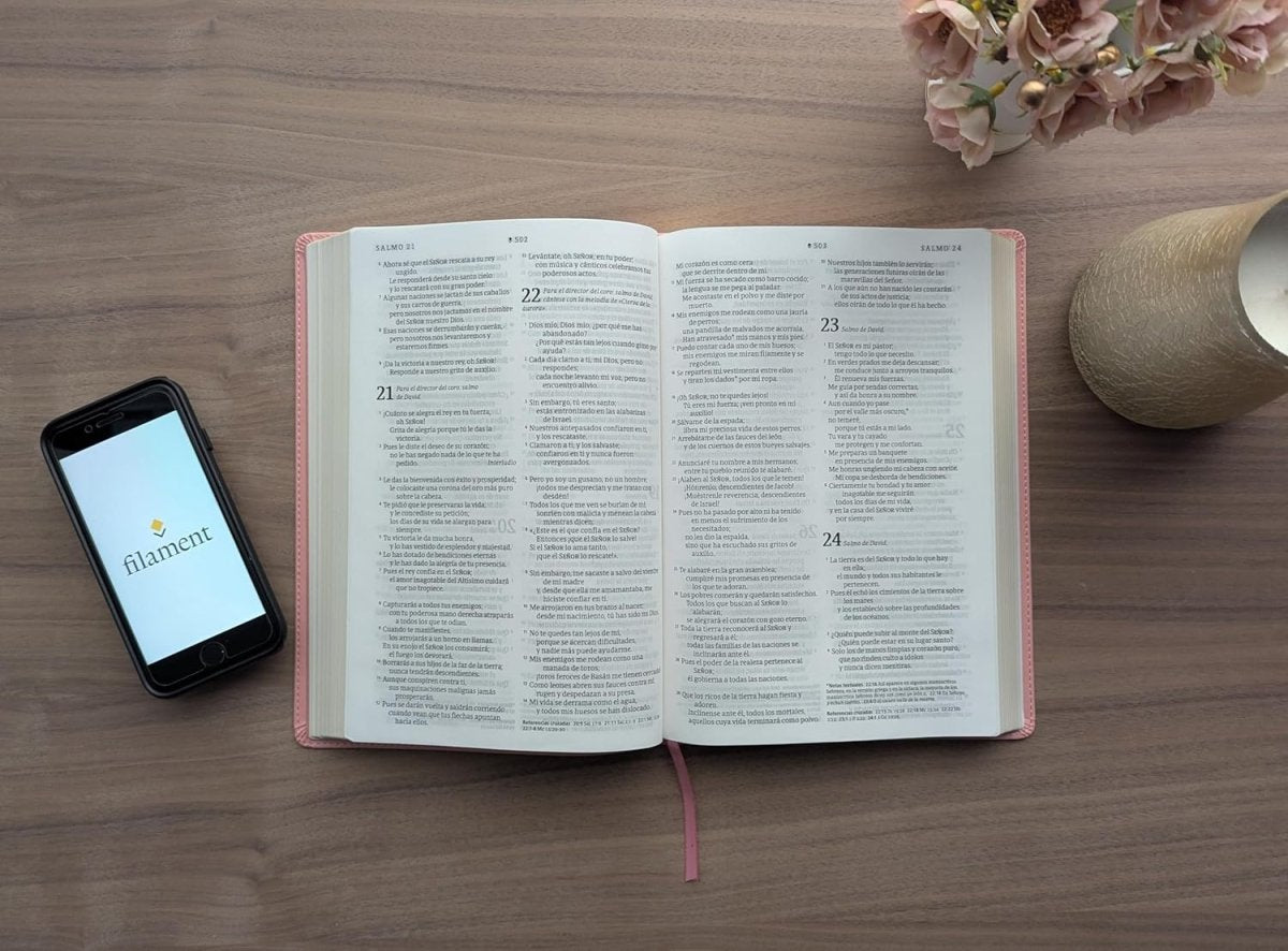 Biblia Nueva Traducción Viviente (NTV) Ultrafina, Letra 10 Pt, 16,5×24, Palabras De Jesús En Rojo, Tapa PU, Flores Rosa