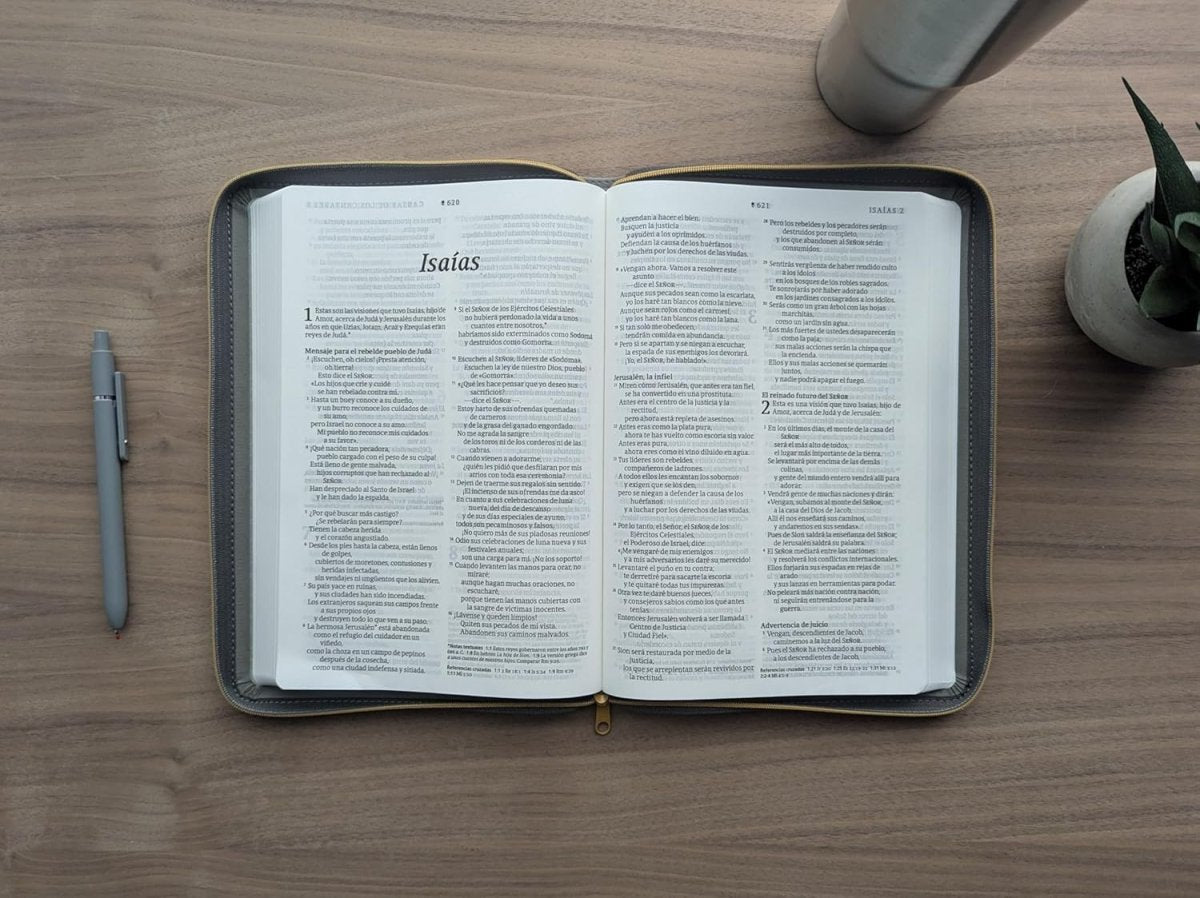 Biblia Nueva Traducción Viviente (NTV), Letra 10 Pt, Ultrafina, Tapa PU, Gris, Con Cierre