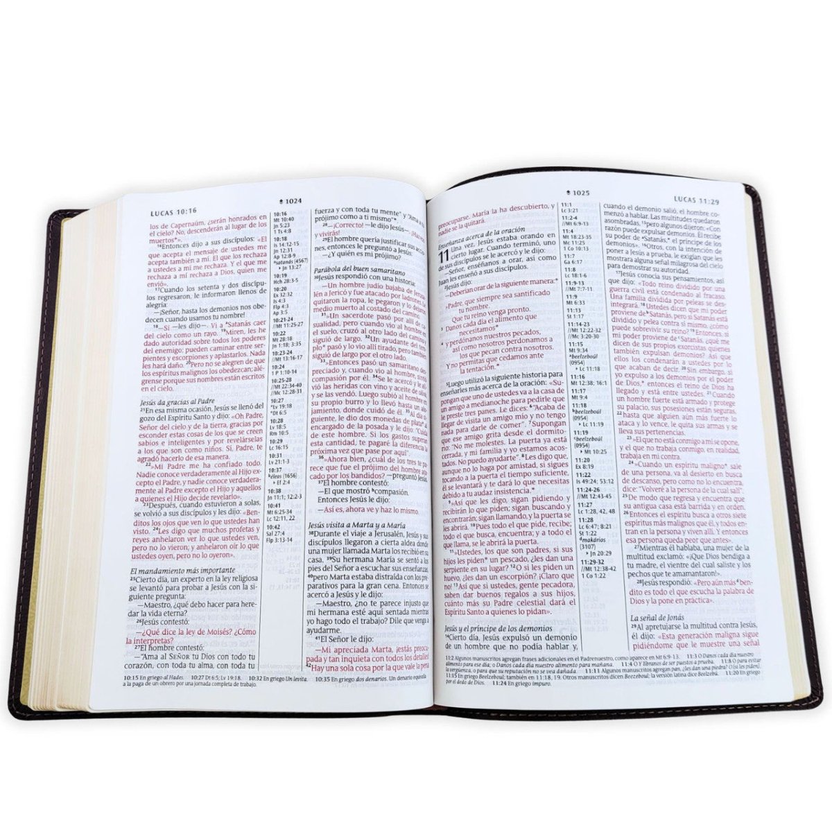 Biblia Nueva Traducción Viviente – Tapa Imitación Piel Café, Letra 9.5pt, 17x24 cm