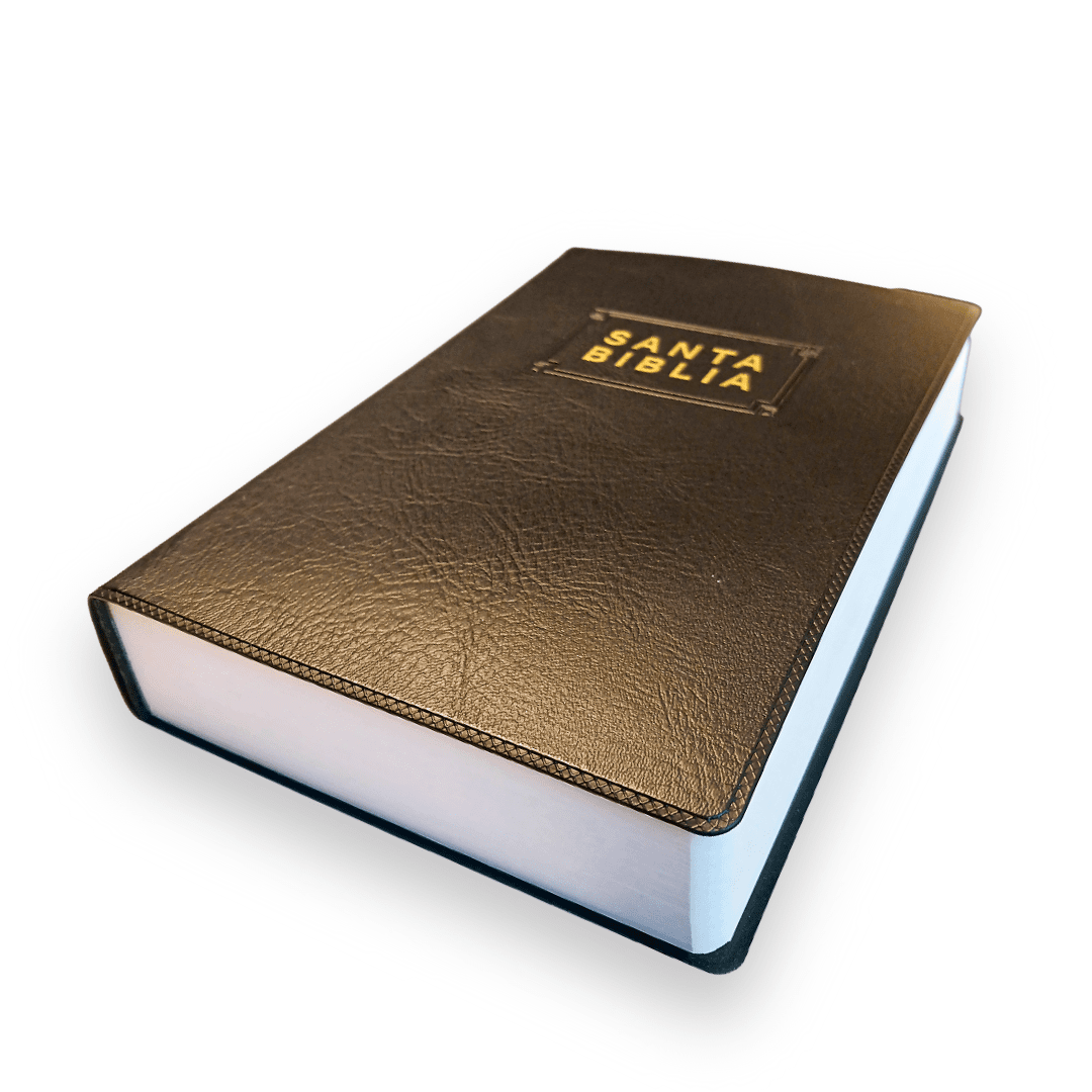 Biblia Nueva Traducción Viviente Vinil Negro