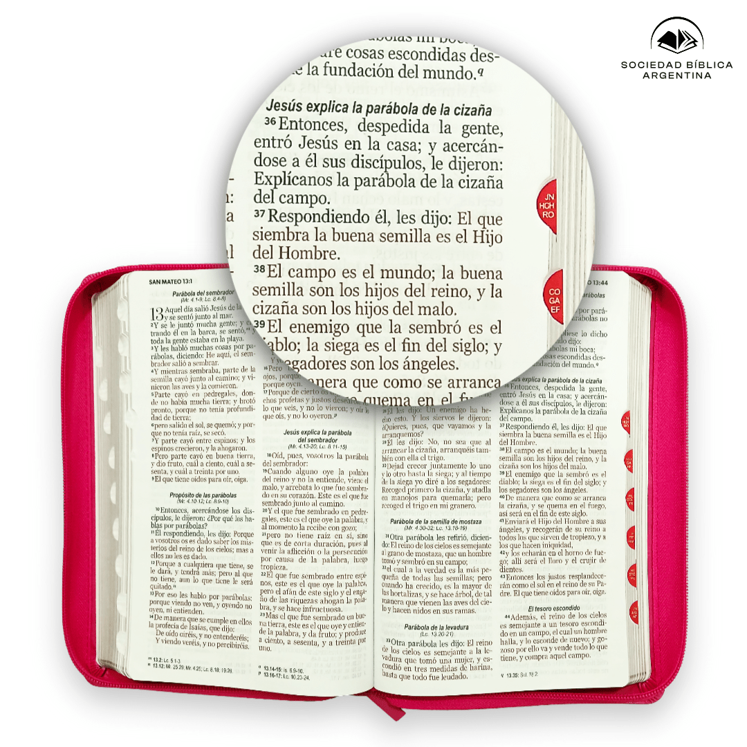 Biblia Reina Valera 1960 · 13,8x21,2 cm · Letra grande 12,5 pt · Con cierre e índice · Edición clásica fucsia