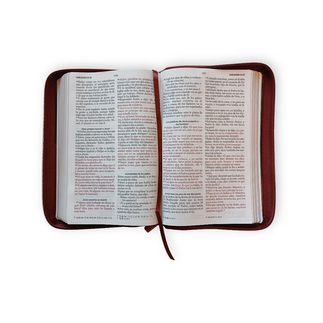 Biblia Reina Valera 1960 · 13,8x21,2 cm · Letra grande 12,5 pt · Con cierre · Diseño bitono marrón