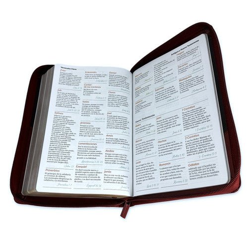 Biblia Reina Valera 1960 · 13,8x21,2 cm · Letra grande 12,5 pt · Con cierre · Diseño bitono marrón