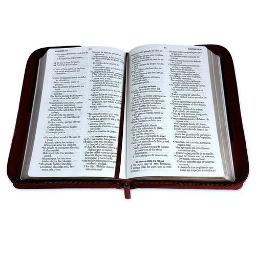 Biblia Reina Valera 1960 · 13,8x21,2 cm · Letra grande 12,5 pt · Con cierre · Diseño bitono marrón