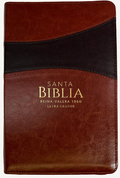 Biblia Reina Valera 1960 Letra grande Cierre PJR Marron