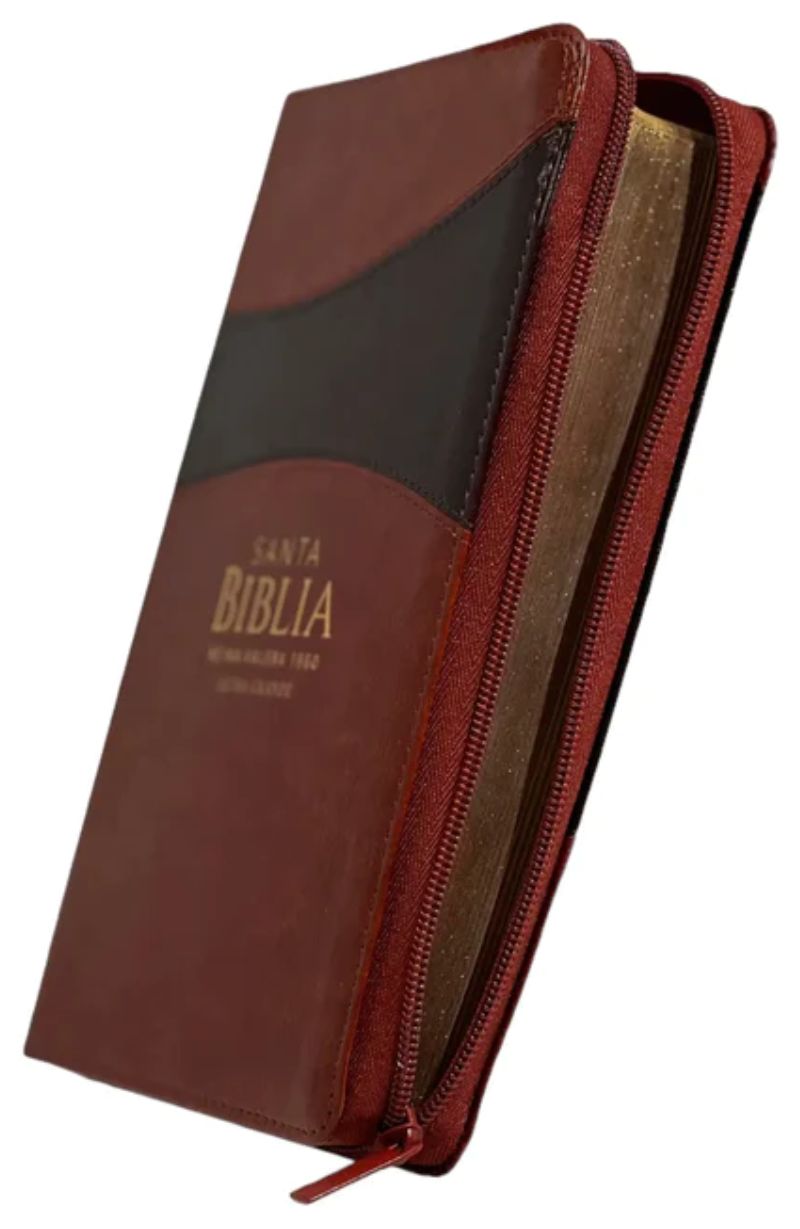 Biblia Reina Valera 1960 Letra grande Cierre PJR Marron
