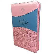 Biblia Reina Valera 1960 Letra Grande Cierre Ind PJR Rosa